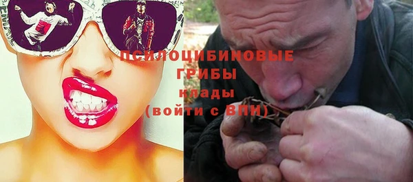 дмт Баксан