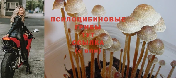 гашишное масло Балахна