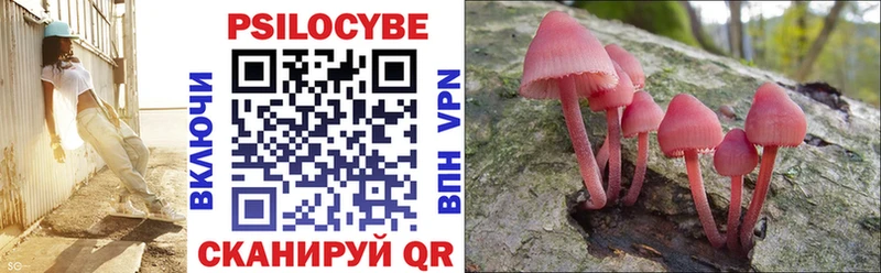 Галлюциногенные грибы Psilocybe  MEGA сайт  мориарти Telegram  Константиновск 